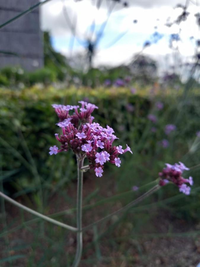 Вілла Le Jardin Des Fagnes Робертвілле Екстер'єр фото