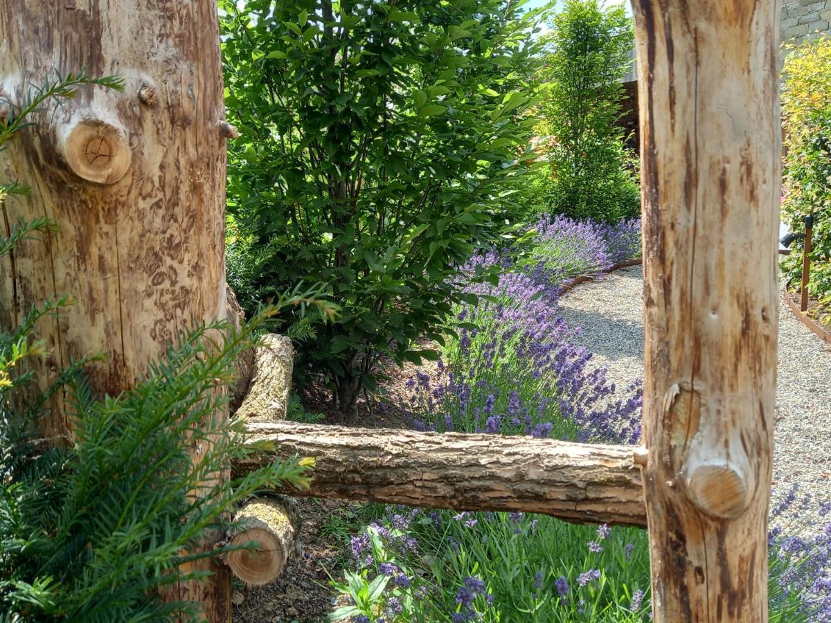 Вілла Le Jardin Des Fagnes Робертвілле Екстер'єр фото