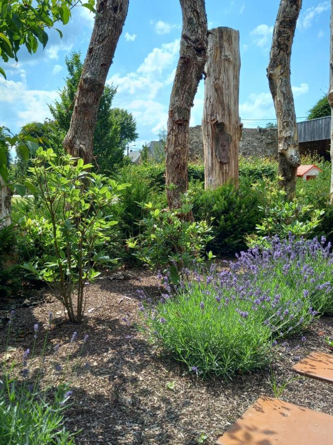 Вілла Le Jardin Des Fagnes Робертвілле Екстер'єр фото